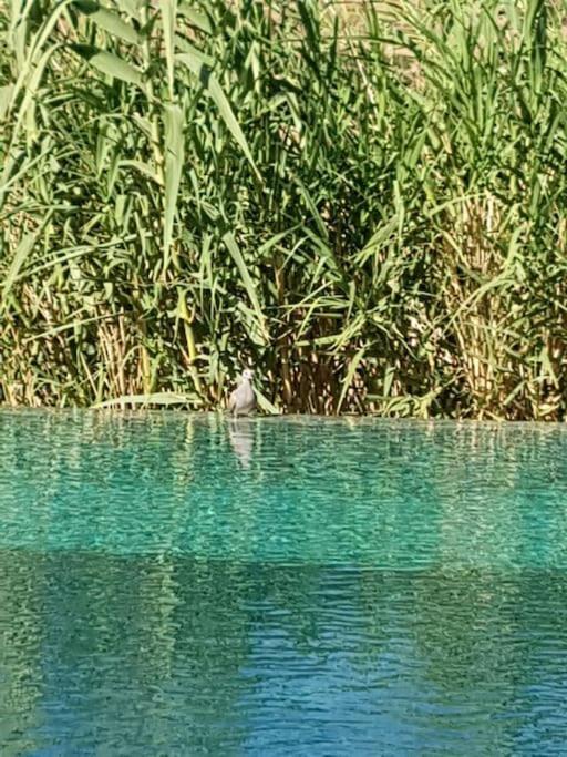 Le Figuier Du Lac Bin Elouidane Exteriér fotografie